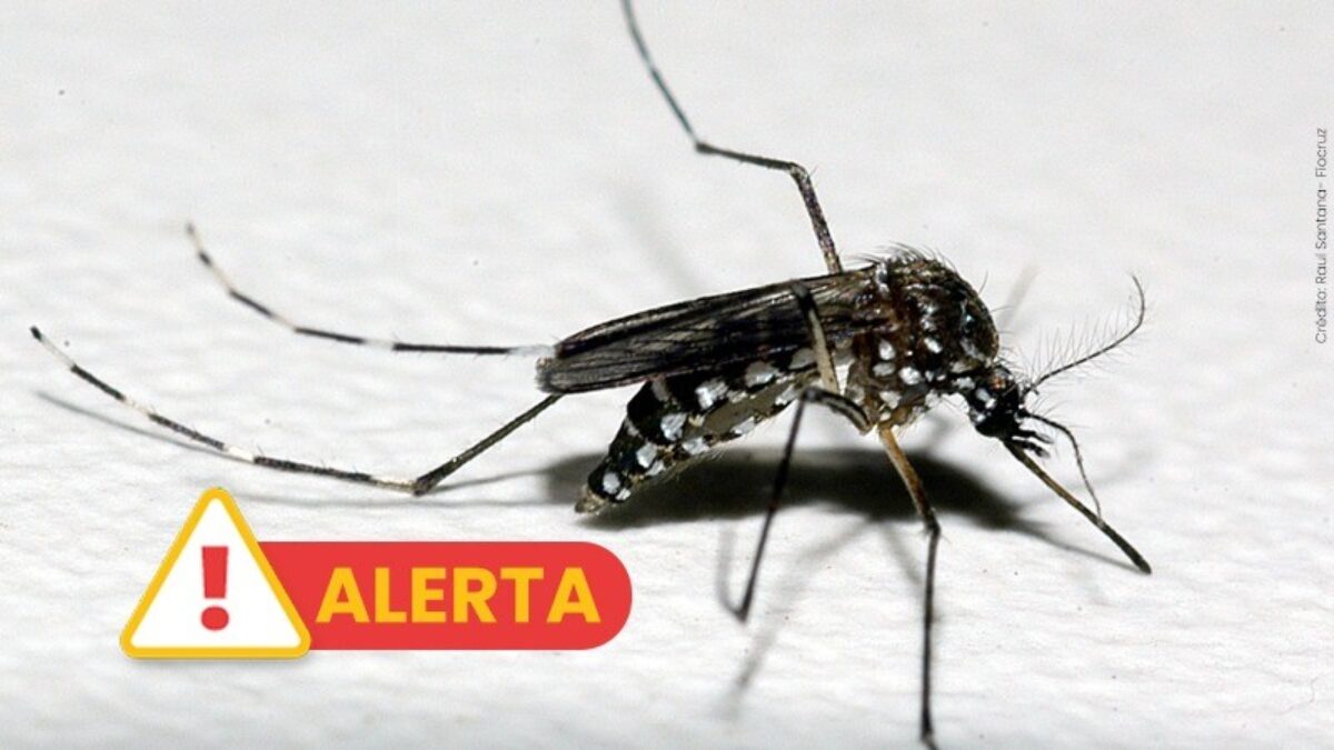 Governo do RS decreta situação de emergência devido à dengue