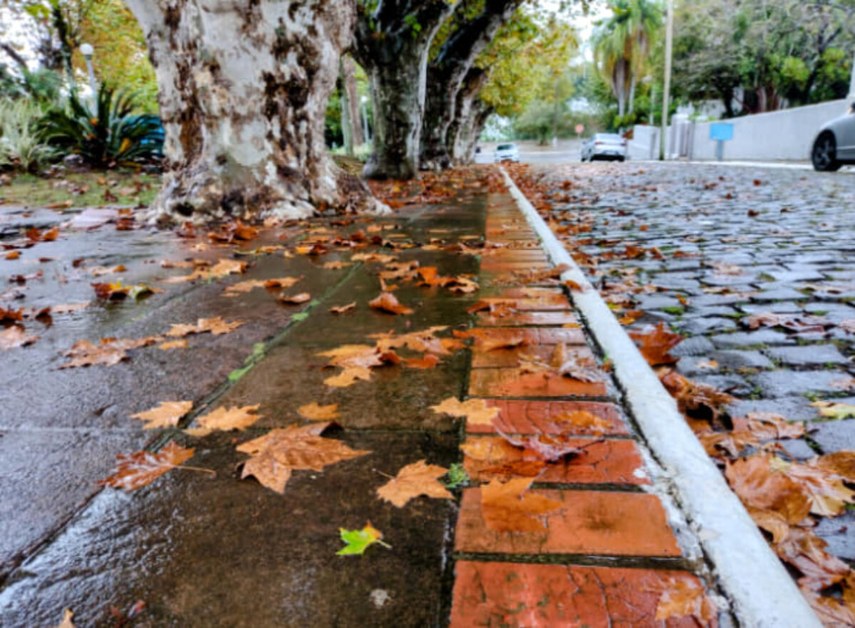 Outono no RS será marcado por umidade e chuva um pouco acima da média