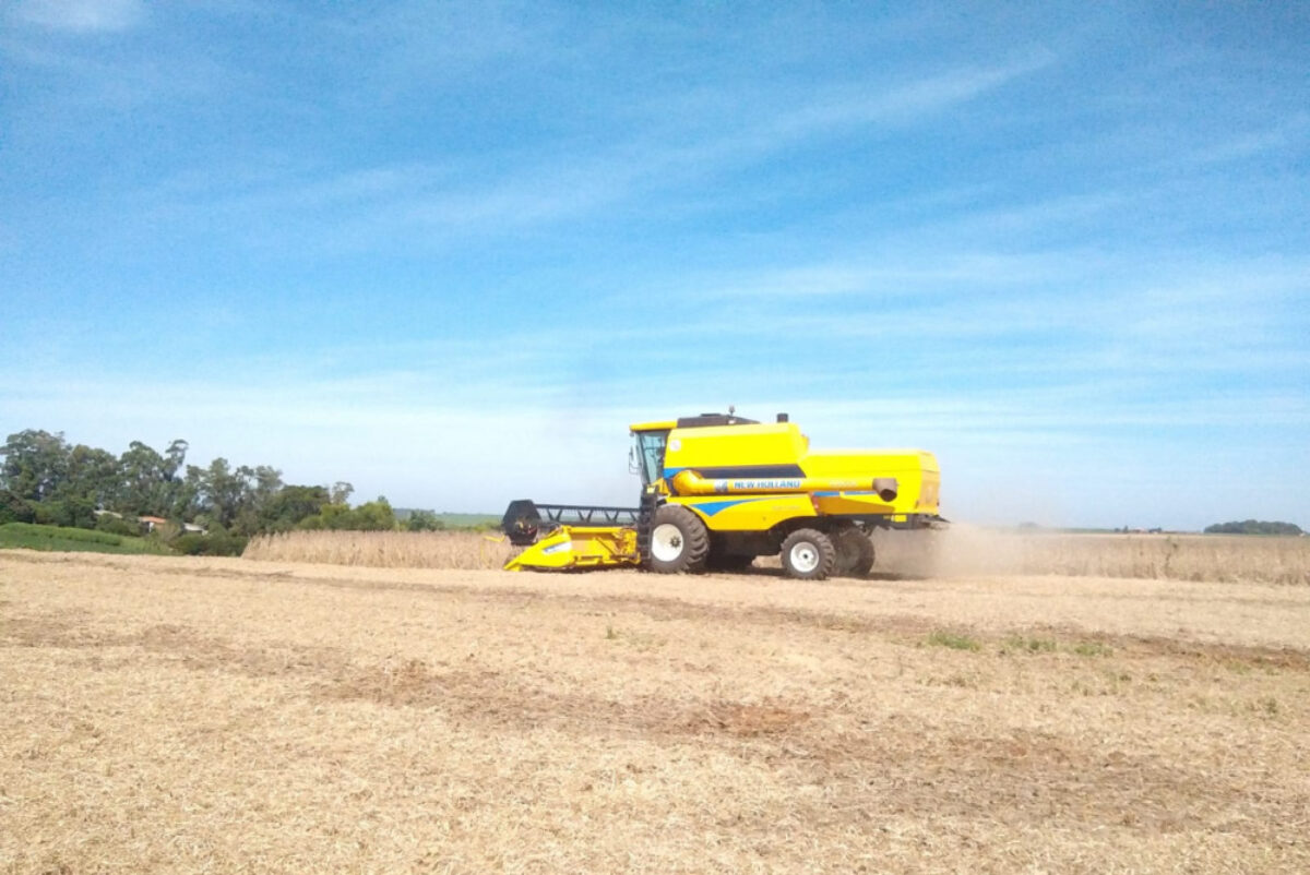 Colheita da soja chega a 3% da área plantada no RS