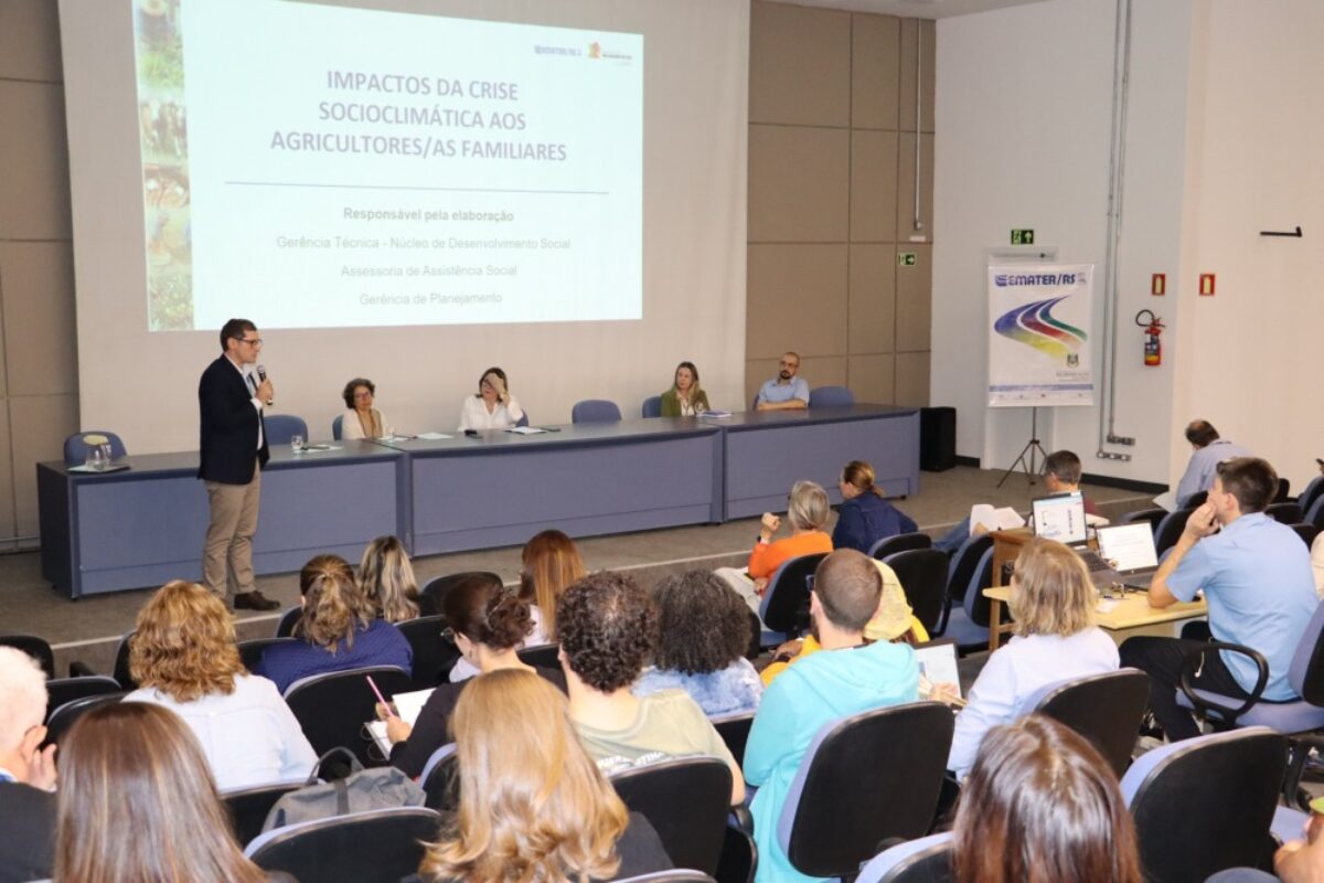 Emater/RS-Ascar apresenta impactos da cheia para agricultores familiares, assentados da reforma agrária, indígenas, pescadores artesanais e quilombolas