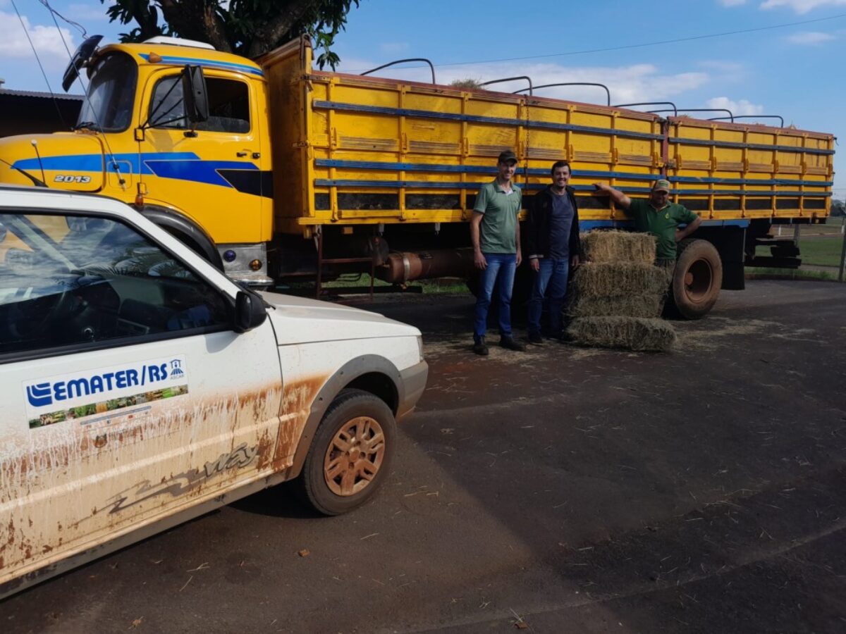 Sensibilizados com efeitos da enchente, agricultores de Senador Salgado Filho doam feno a propriedades atingidas