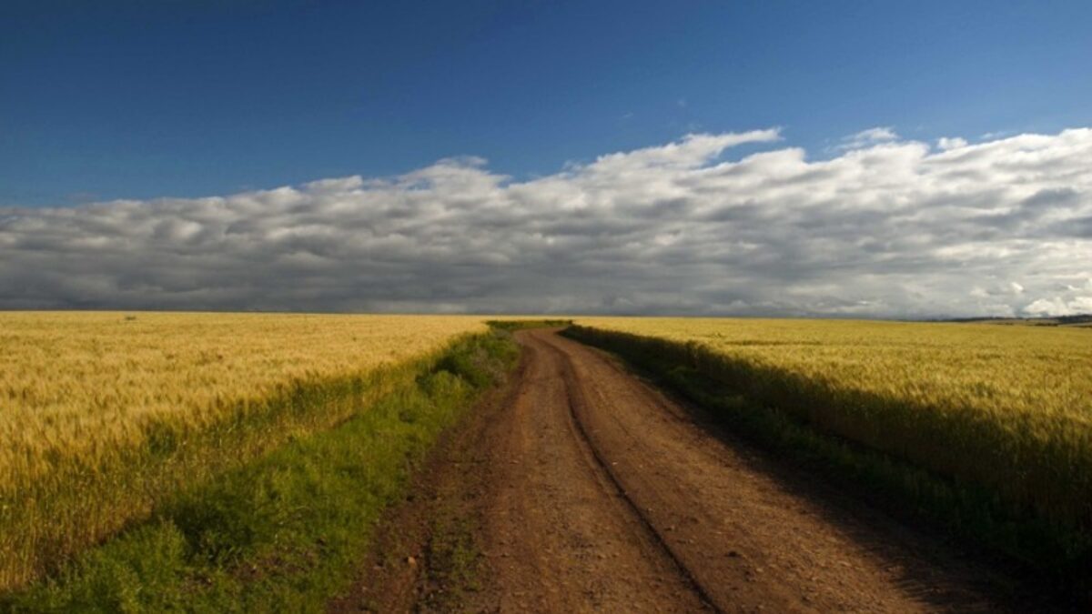 La Niña deve chegar ao RS no fim do inverno e início da primavera La Niña deve chegar ao RS no fim do inverno e início da primavera