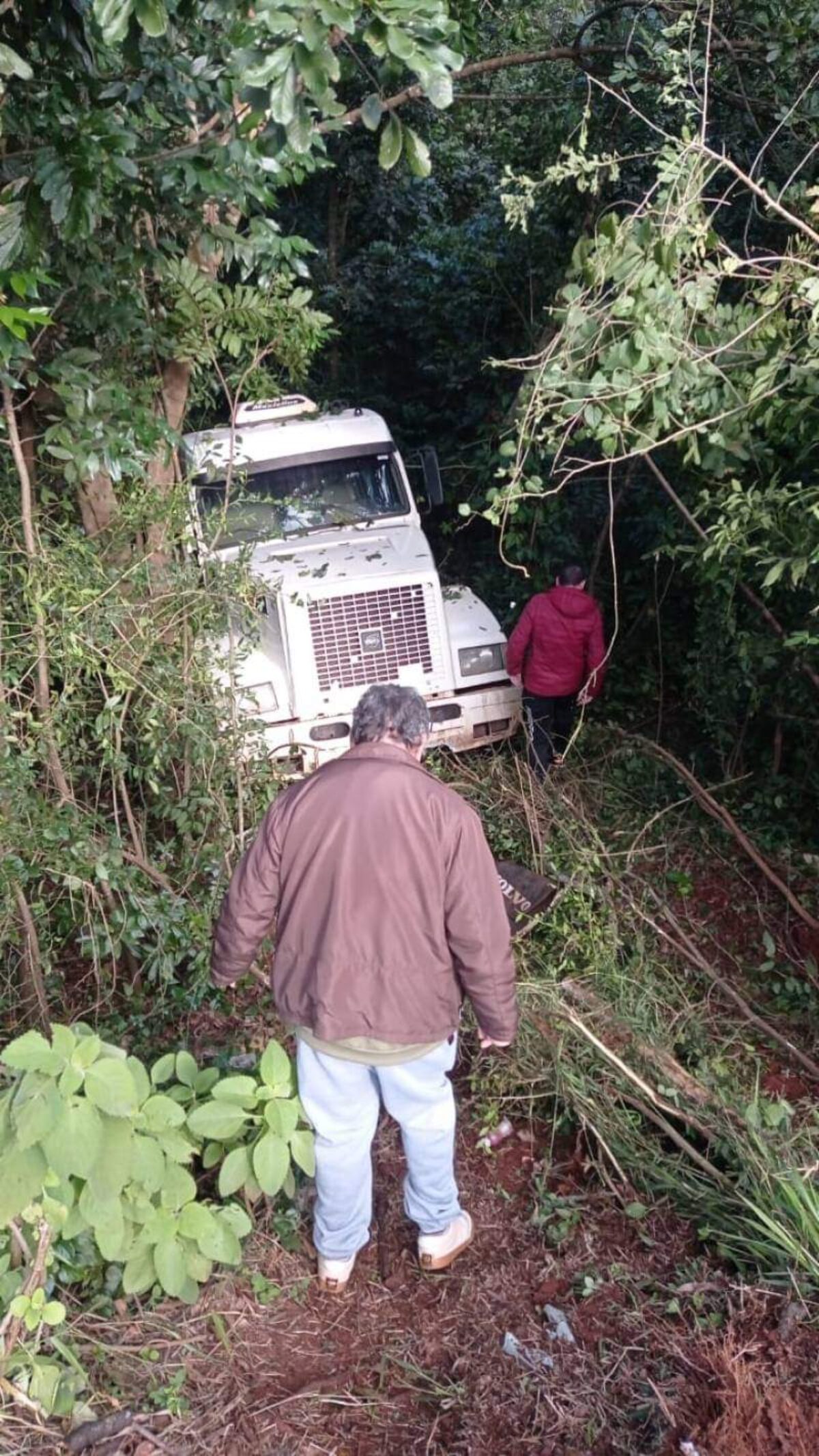 Caminhão sai da pista na Avenida Ipiranga e acaba ao lado do Riacho Itaquarinchim Caminhão sai da pista na Avenida Ipiranga e acaba ao lado do Riacho Itaquarinchim