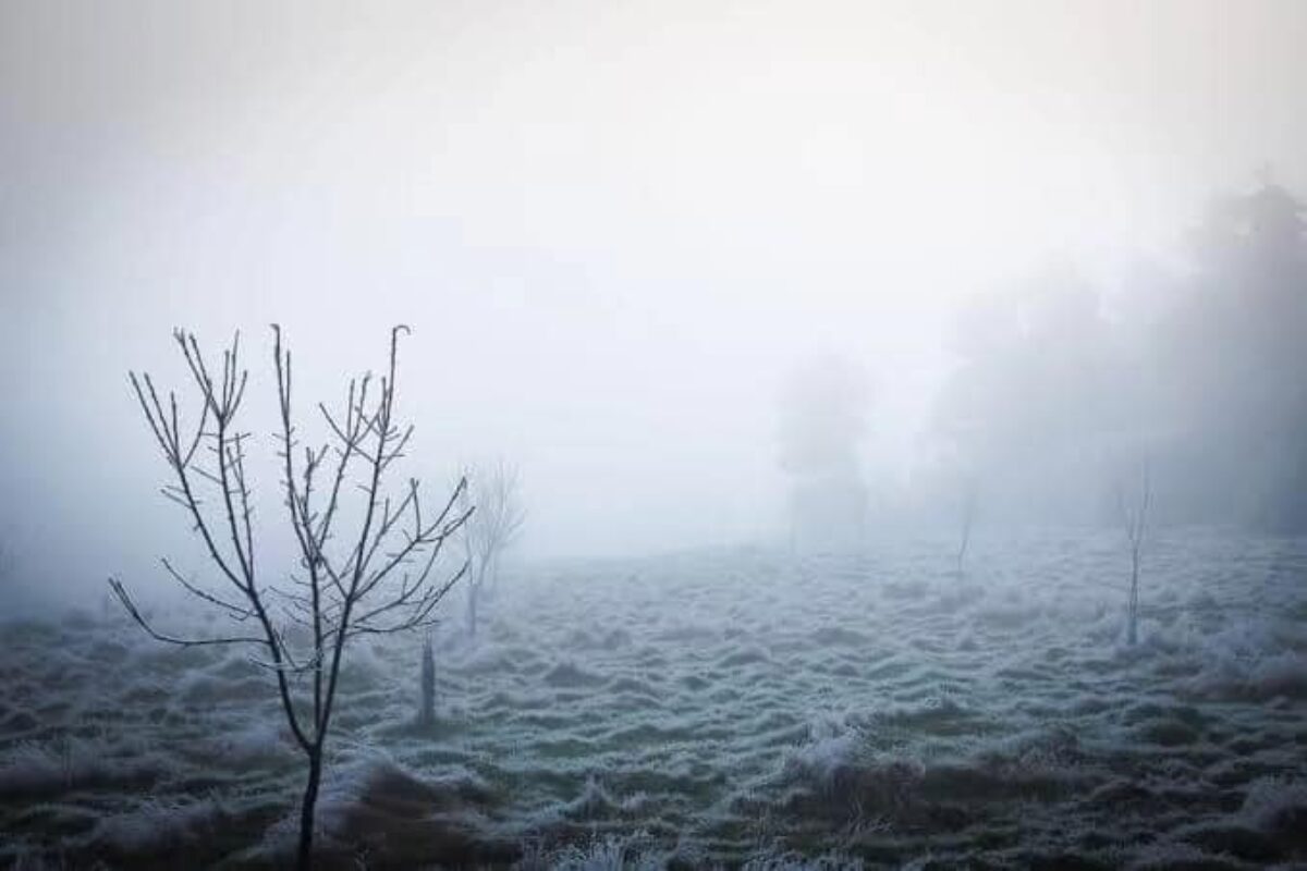 Homem é encontrado morto por suspeita de frio