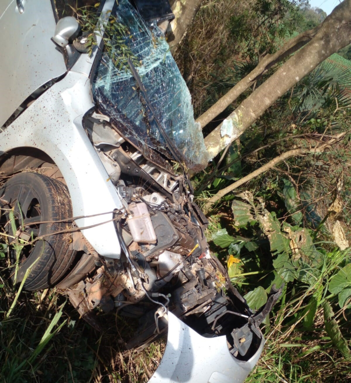 Motorista morre no hospital após acidente na ERS-344, em Giruá