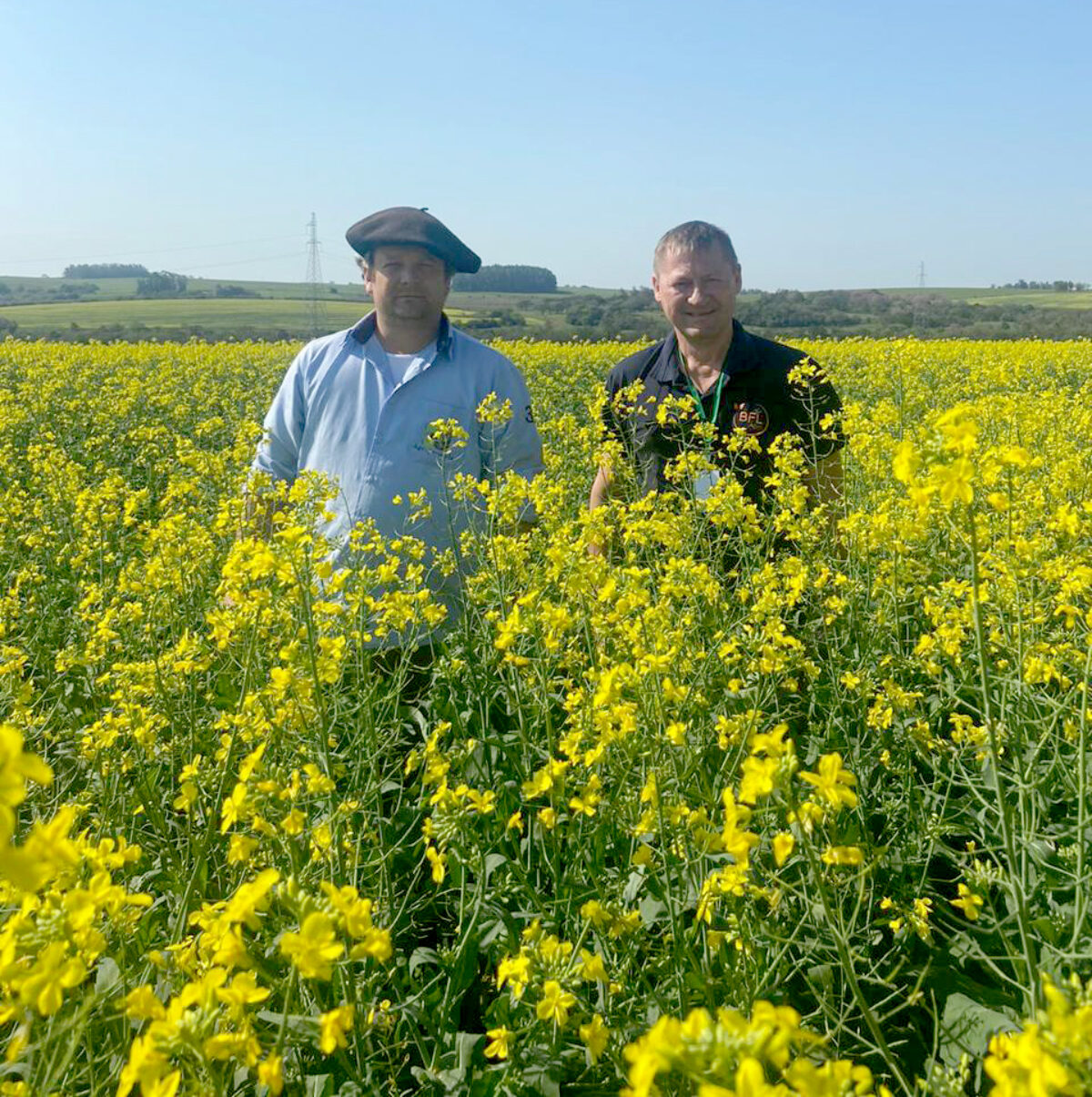 Situada em Guarani das Missões, BFL Agro é uma das únicas processadoras de canola do Estado e do País
