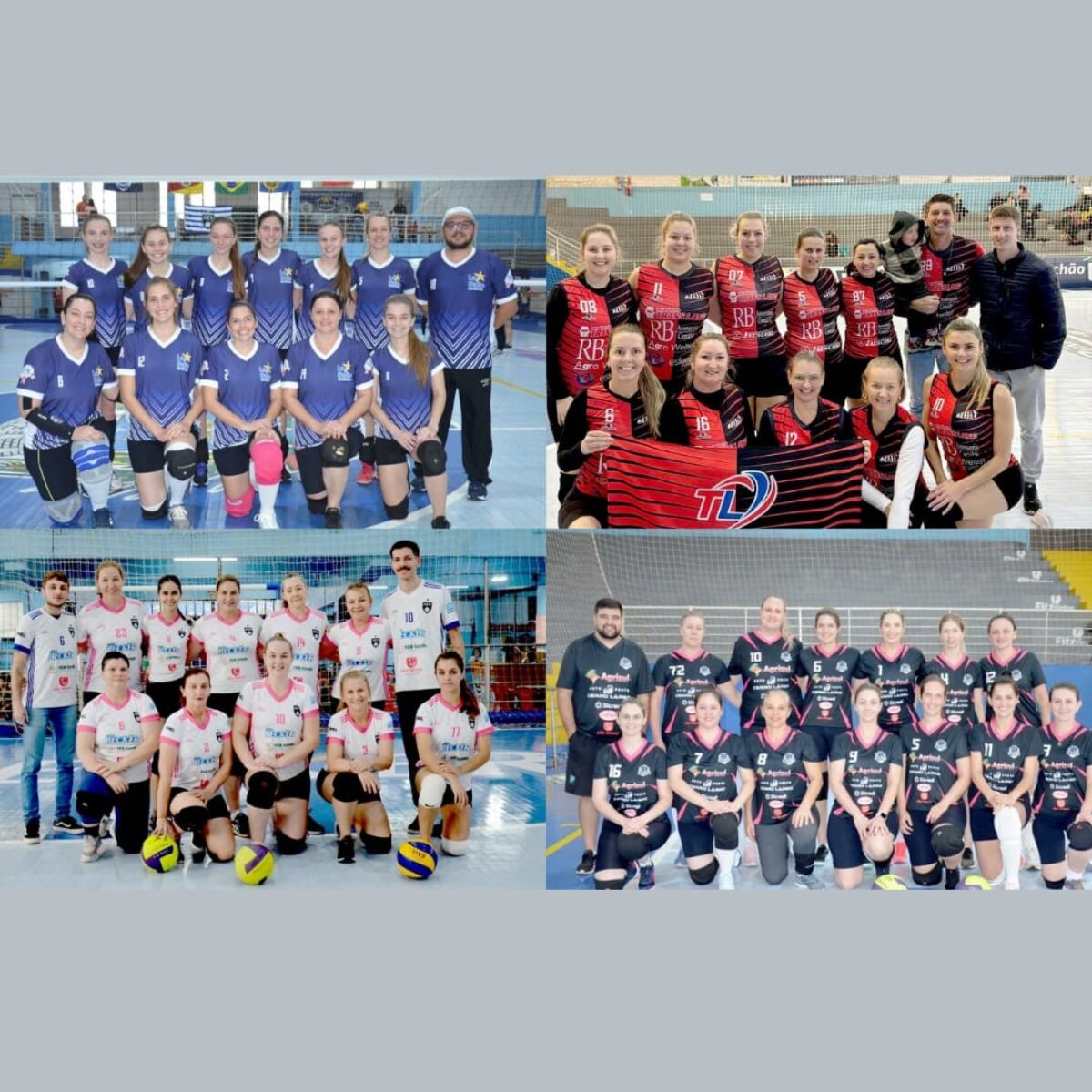 vôlei