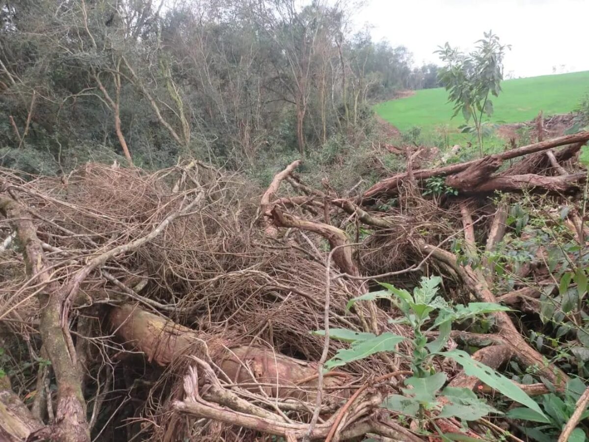 Usando drone, Brigada Militar flagra crime ambiental em Cândido Godói