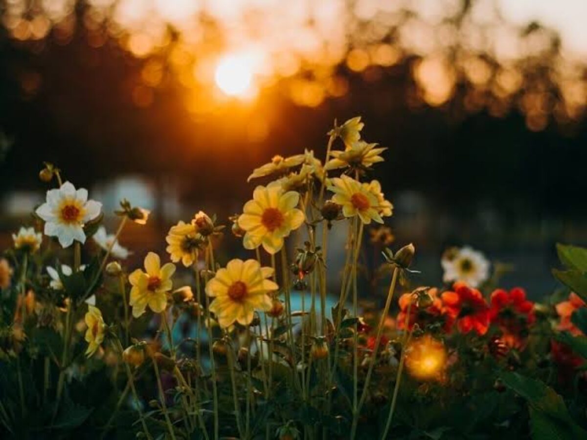 Primavera será de altas temperaturas e novos extremos