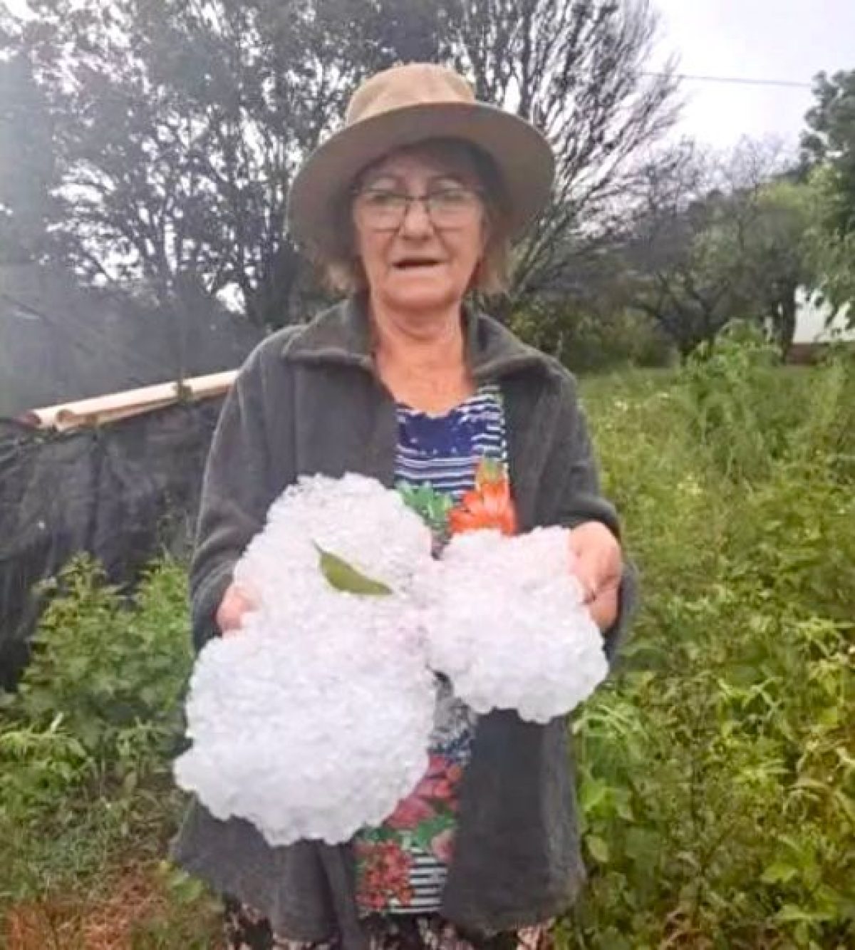 Lavouras são afetadas por queda de granizo no norte do EstadoLavouras são afetadas por queda de granizo no norte do Estado Lavouras são afetadas por queda de granizo no norte do EstadoLavouras são afetadas por queda de granizo no norte do Estado