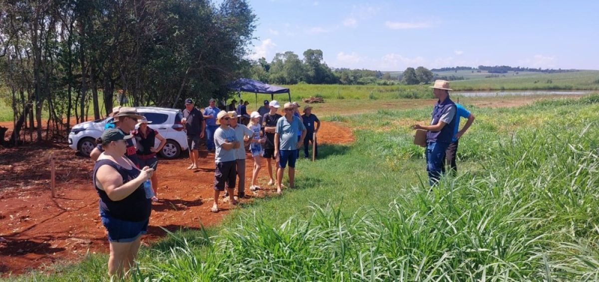Dia de Campo em Ubiretama evidencia diferentes aspectos para êxito na atividade leiteira