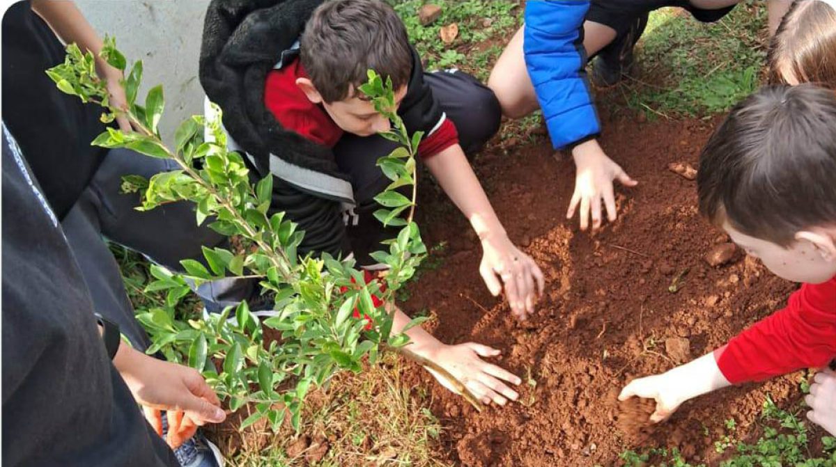 Salvador das Missões: EMEF Padre Afonso Rodrigues realiza atividades especiais na Semana do Meio Ambiente