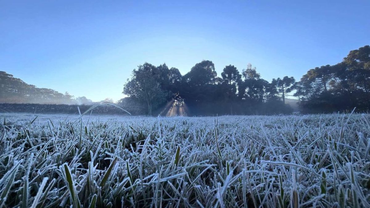 Frente fria derruba temperaturas e traz risco de geada intensa no RS nesta semana