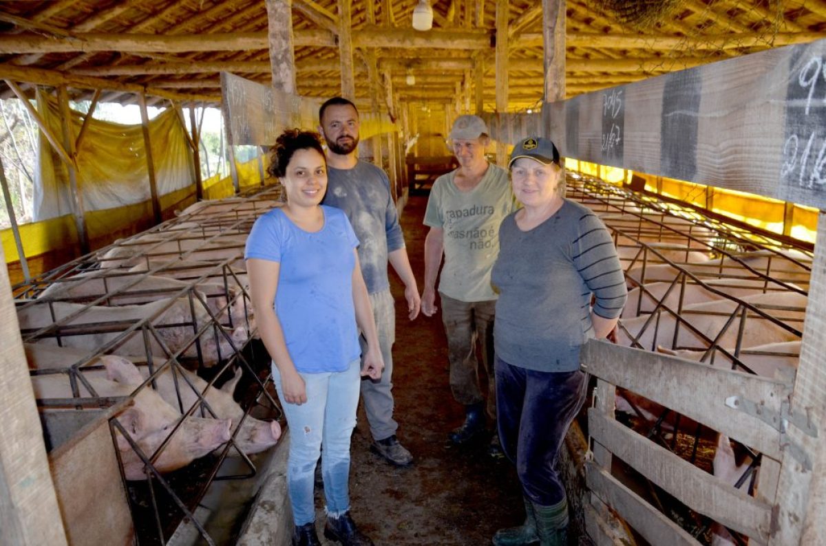 Unidade Produtora de Leitões é exemplo de organização, genética e manejo familiar no campo