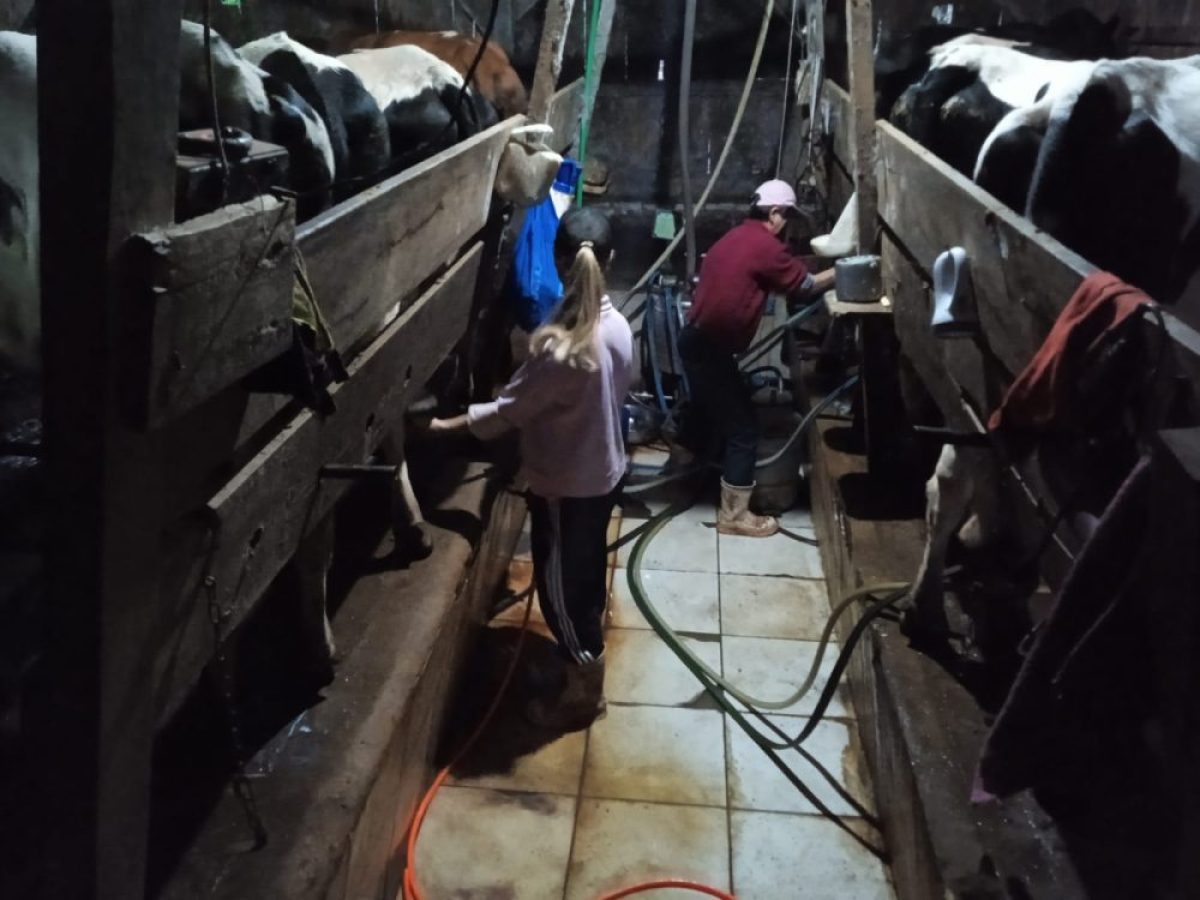 Família Grutzmann mantém tradição de três gerações na agricultura em São Paulo das Missões