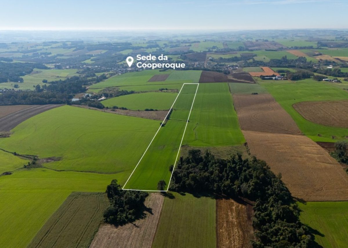 Cooperoque investe em espaço para nova Área Demonstrativa