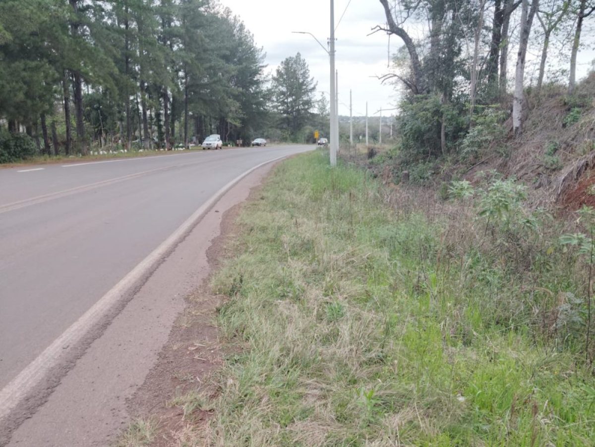 Cerro Largo precisa de mais investimentos, não de mais disputas políticas