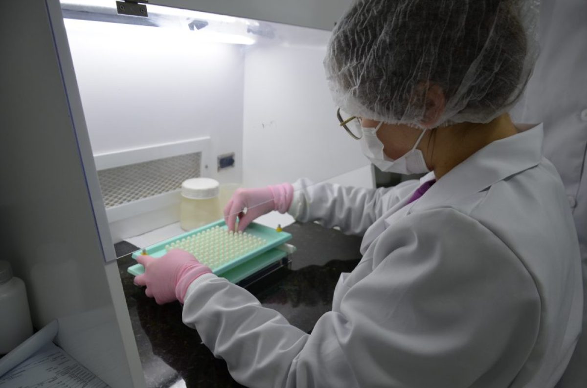 Cerro Largo se destaca com laboratório de manipulação referência na região