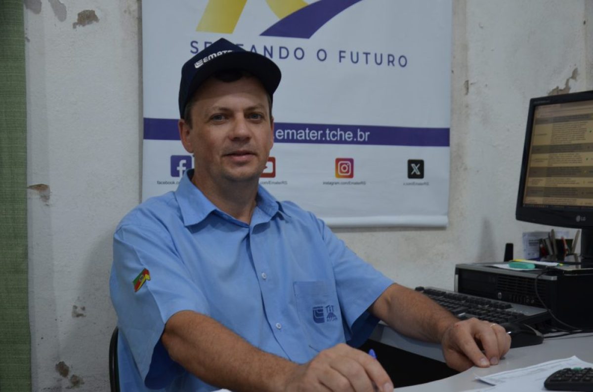 Emater avalia safra do trigo em Guarani das Missões
