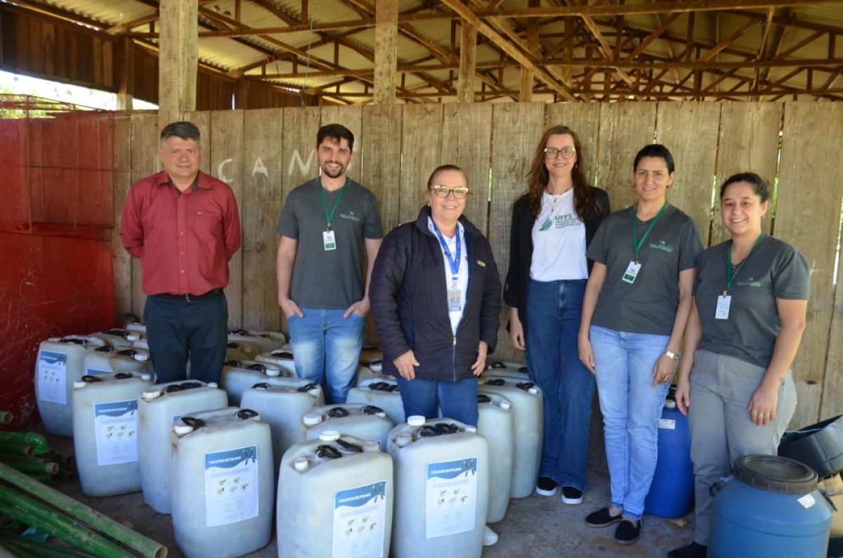 Projeto destina duas toneladas de pilhas para a reciclagem em Cerro Largo