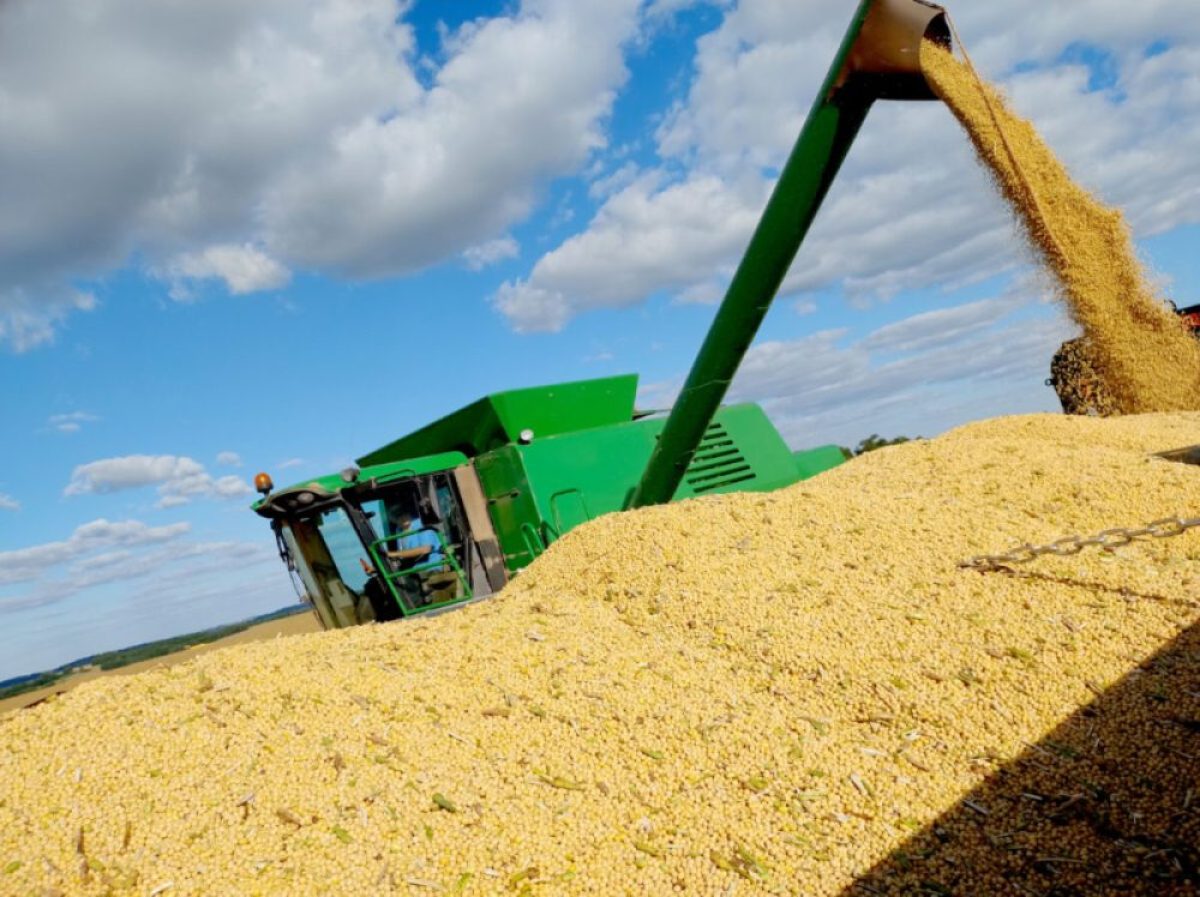 Estiagem reduz projeção da safra de soja no RS e produção deve cair 11,3% Estiagem reduz projeção da safra de soja no RS e produção deve cair 11,3%