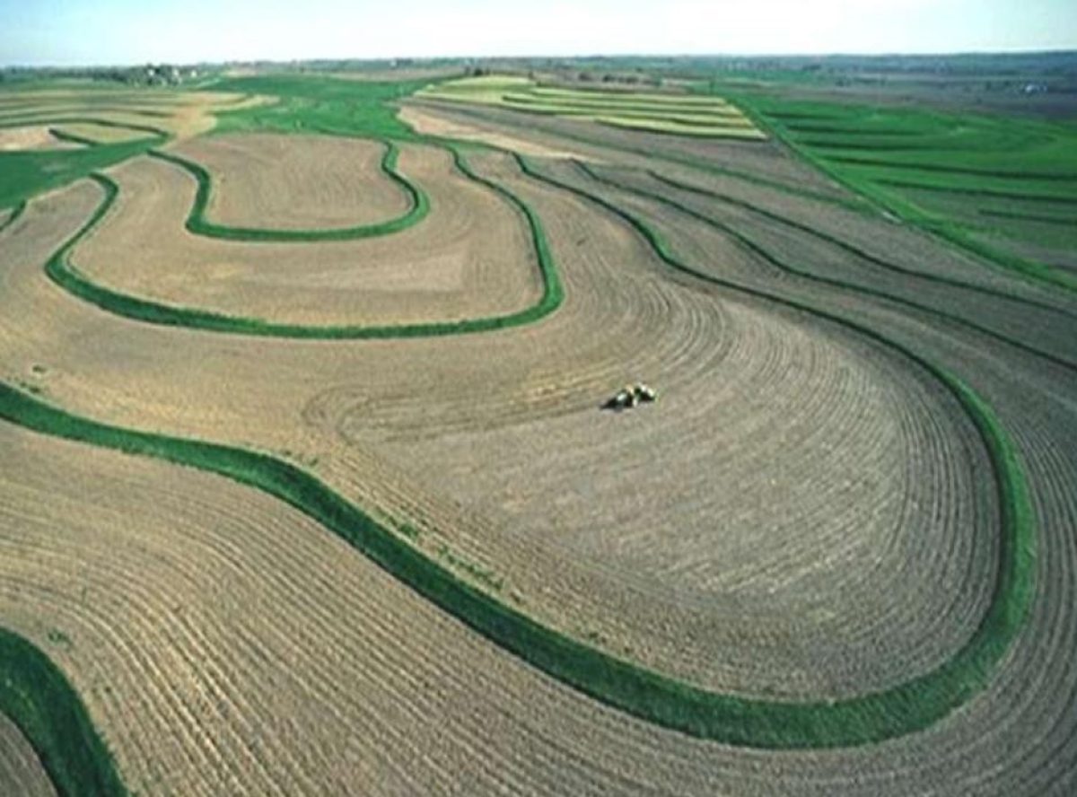 Dia 15 de Abril: Dia Nacional da Conservação do Solo