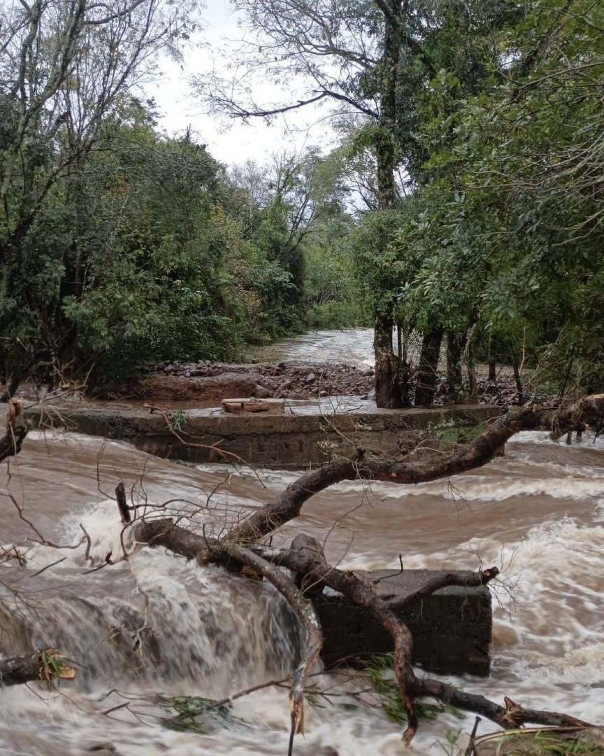 Chuva de quase 200mm cancela aulas, eleva nível de rios e deixa estragos no RS