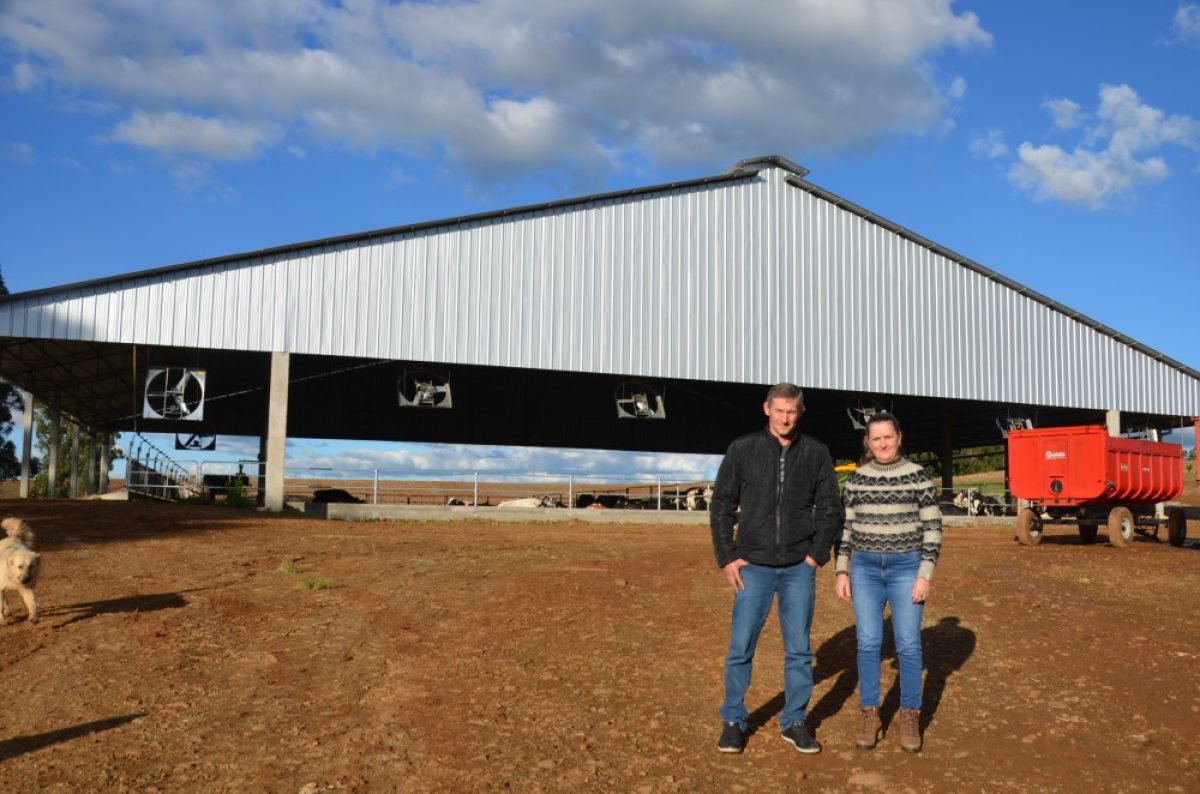 Produção leiteira garante sustento de família e impulsiona investimentos de família em Sete de Setembro