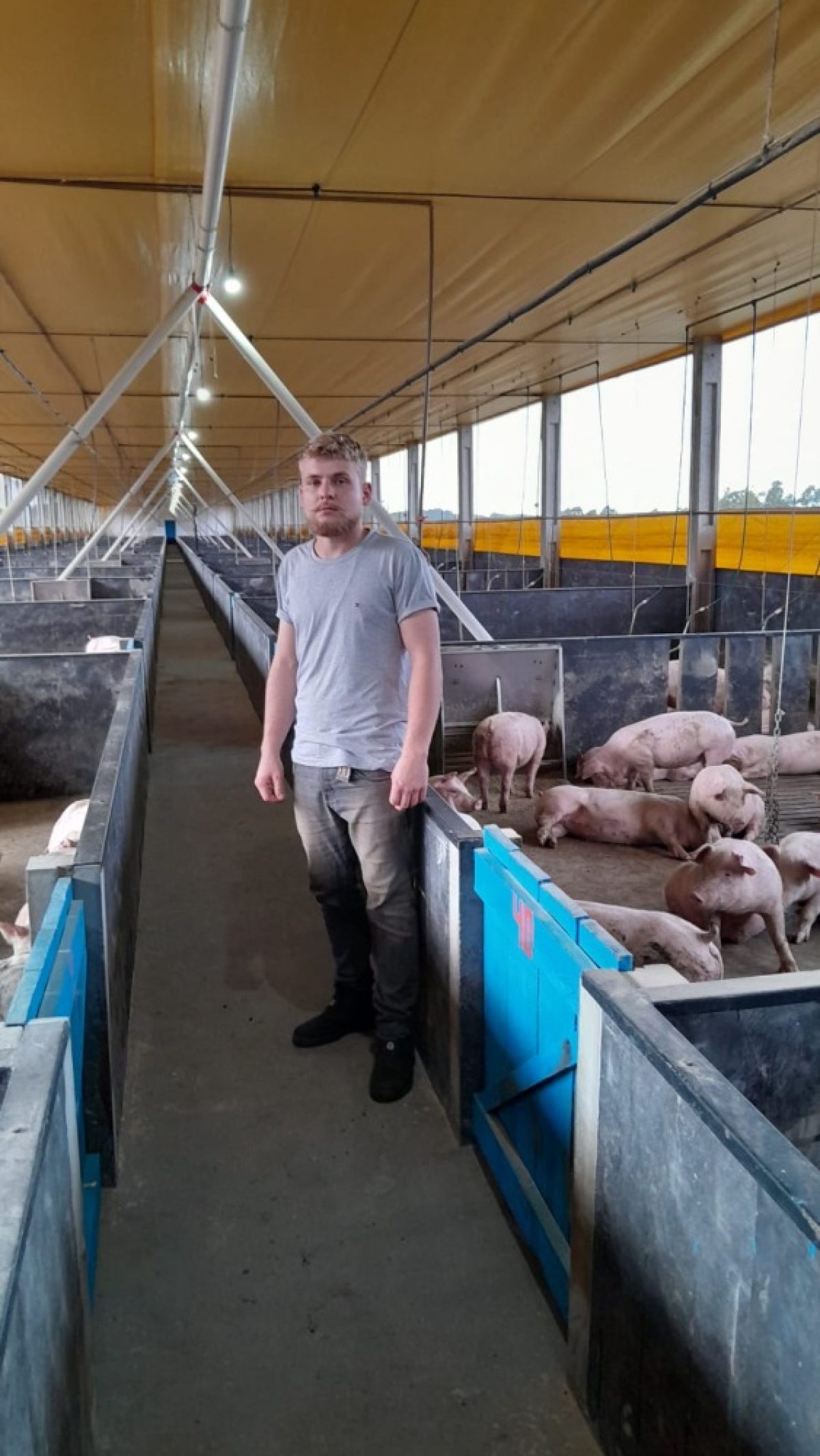 Da tradição no leite ao investimento na suinocultura: família Andrziewski diversifica a produção em Ubiretama Da tradição no leite ao investimento na suinocultura: família Andrziewski diversifica a produção em Ubiretama
