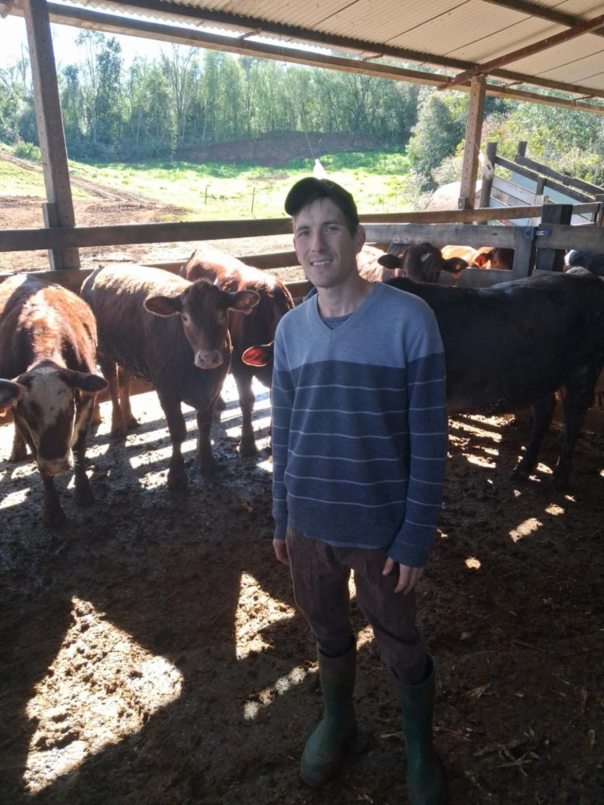 Jovem veterinário alia profissão e paixão pelo campo na propriedade da família em Guarani das Missões Jovem veterinário alia profissão e paixão pelo campo na propriedade da família em Guarani das Missões